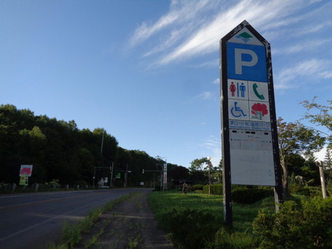 DSC03952