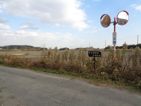DSC06997