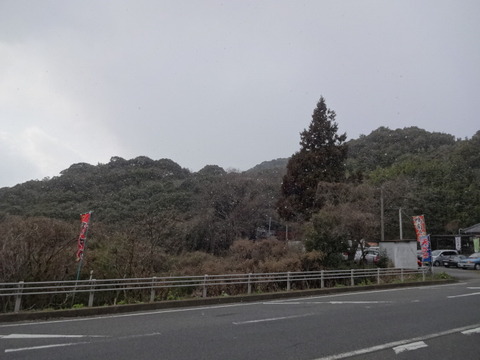 DSC04621