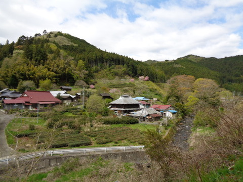 DSC09904