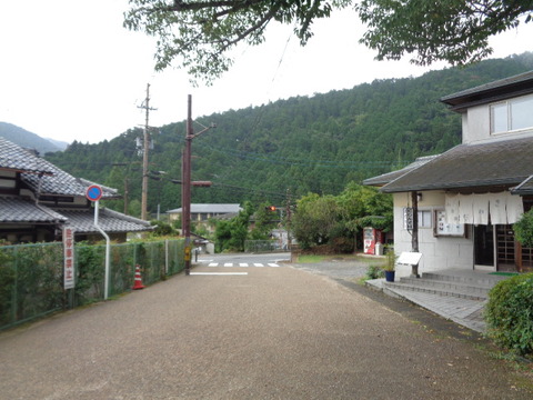 DSC01503