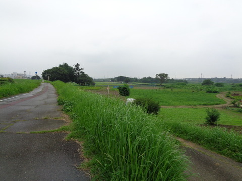 DSC03877