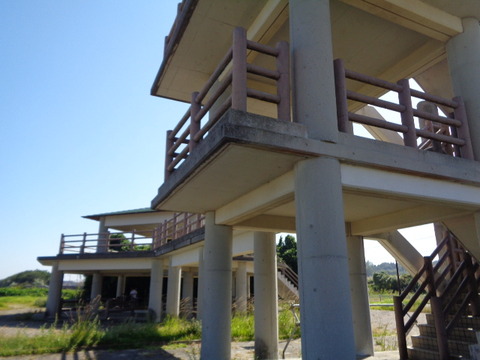 DSC09946