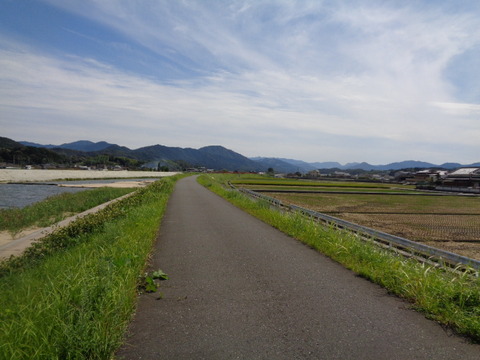 DSC02568