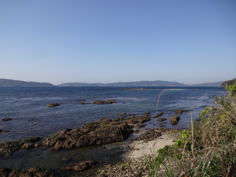 DSC04834