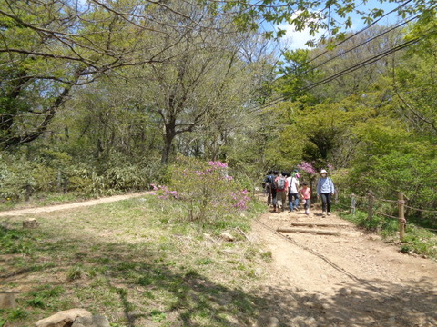 DSC02161