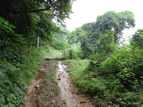 DSC00989