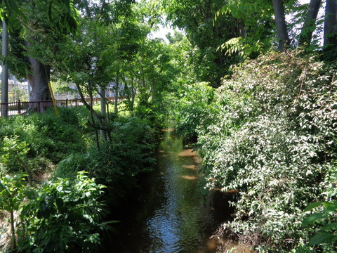 DSC00280