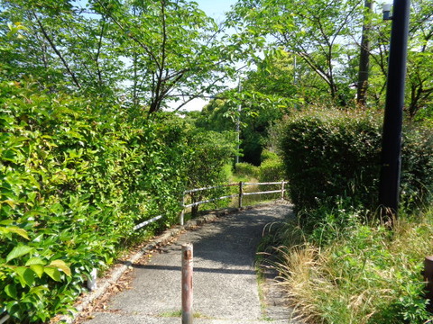 DSC09494