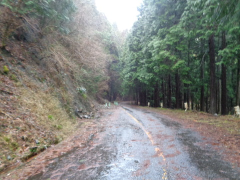 DSC04786