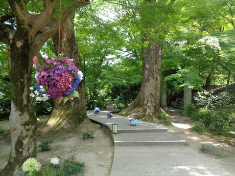 DSC06707