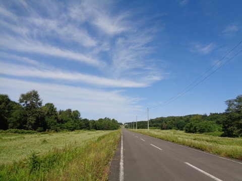 DSC04390