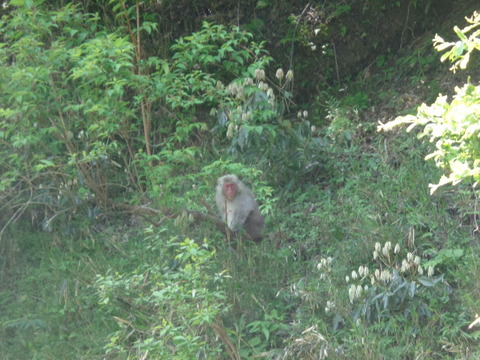 DSC03040