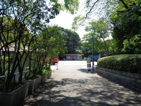 DSC09521