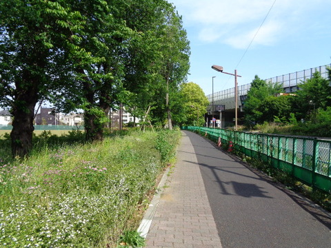 DSC00366