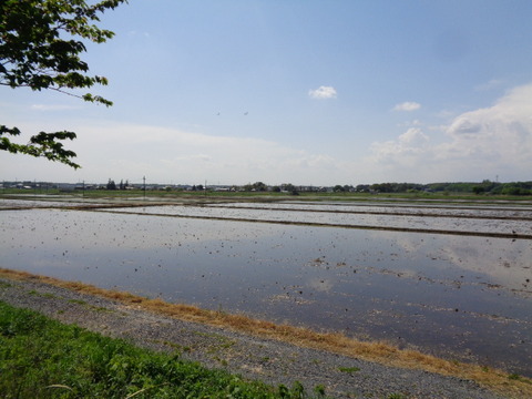 DSC01891