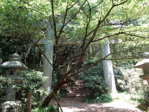 DSC06748