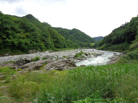 DSC02477