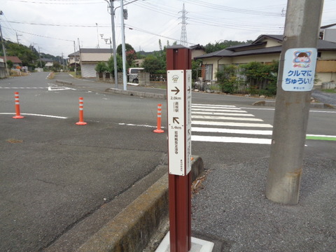 DSC02244