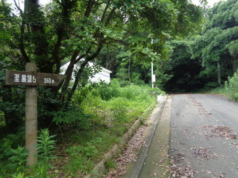 DSC01056