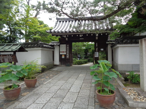 DSC00405
