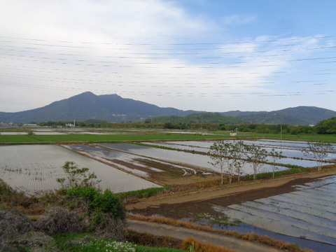 DSC01985