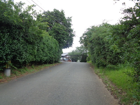 DSC00998