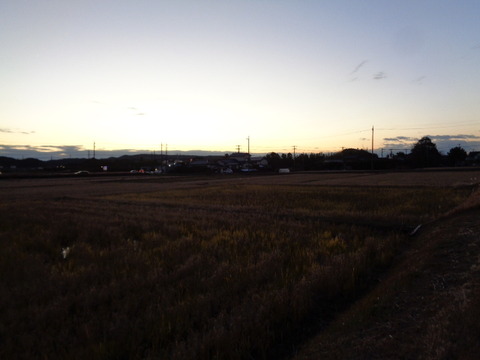 DSC07288