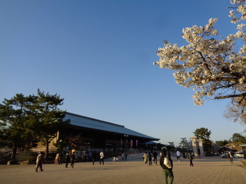 DSC02885