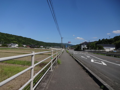 DSC06564