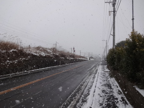 DSC04744