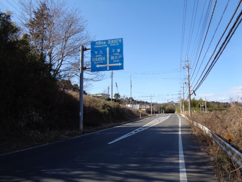 DSC02520