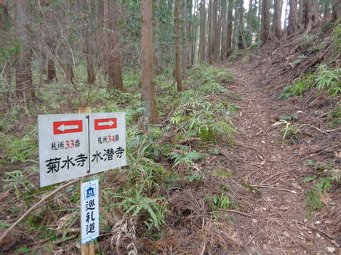 DSC09022