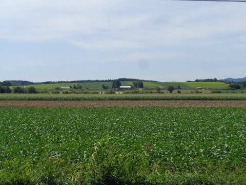 DSC04459