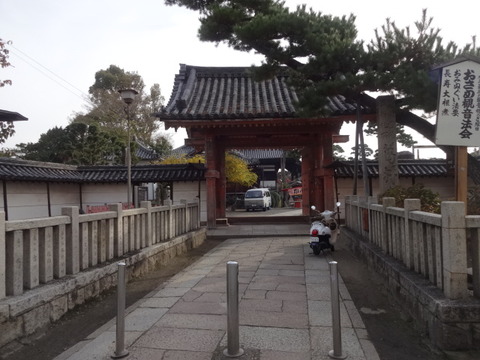 DSC01198