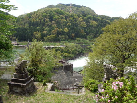 DSC05239