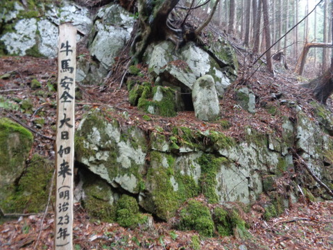 DSC04735