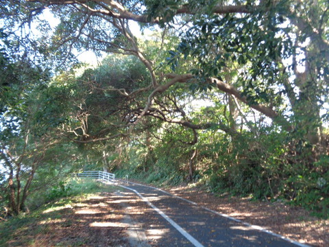 DSC09984
