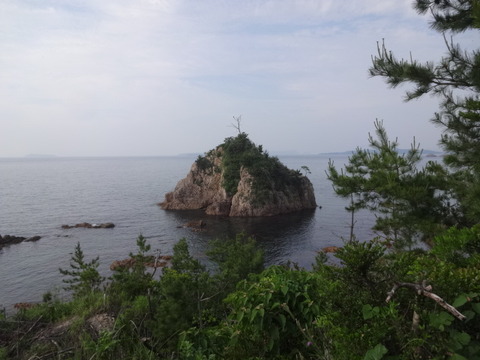 DSC05494