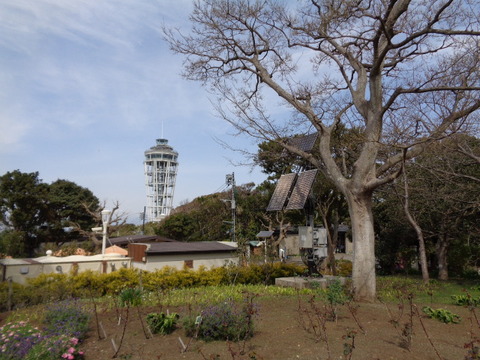 DSC07932
