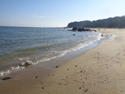 DSC00050