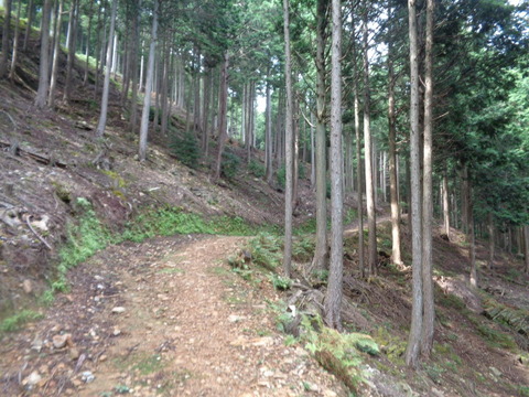 DSC01609