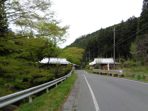 DSC00203