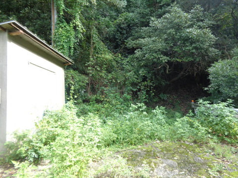 DSC02334