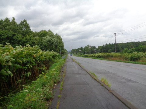 DSC04730
