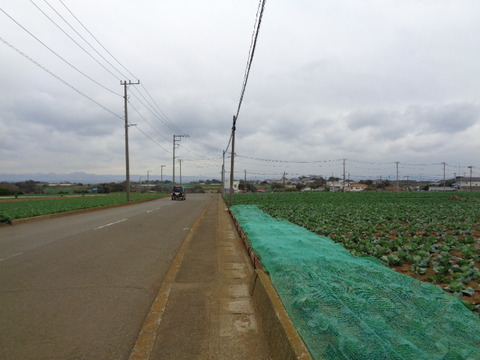 DSC08369