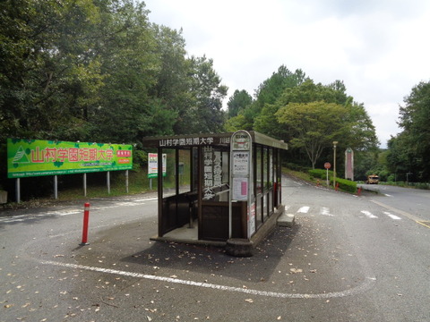 DSC02306