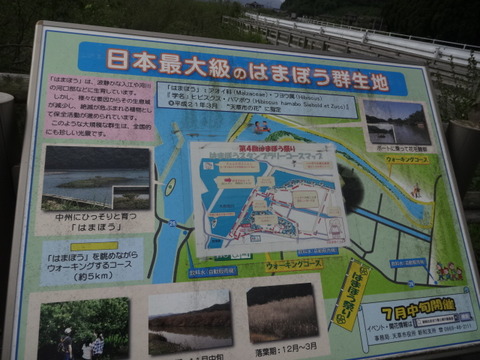 DSC05902