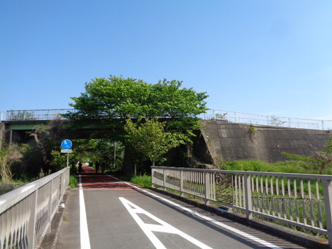 DSC01933