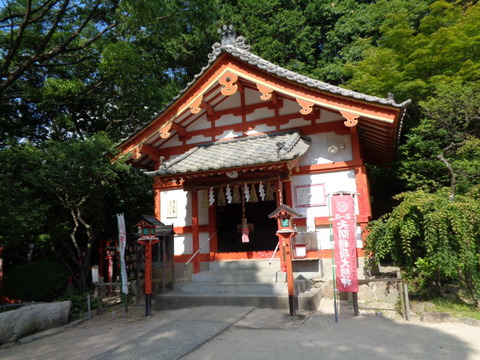 DSC06876